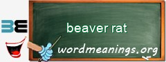 WordMeaning blackboard for beaver rat